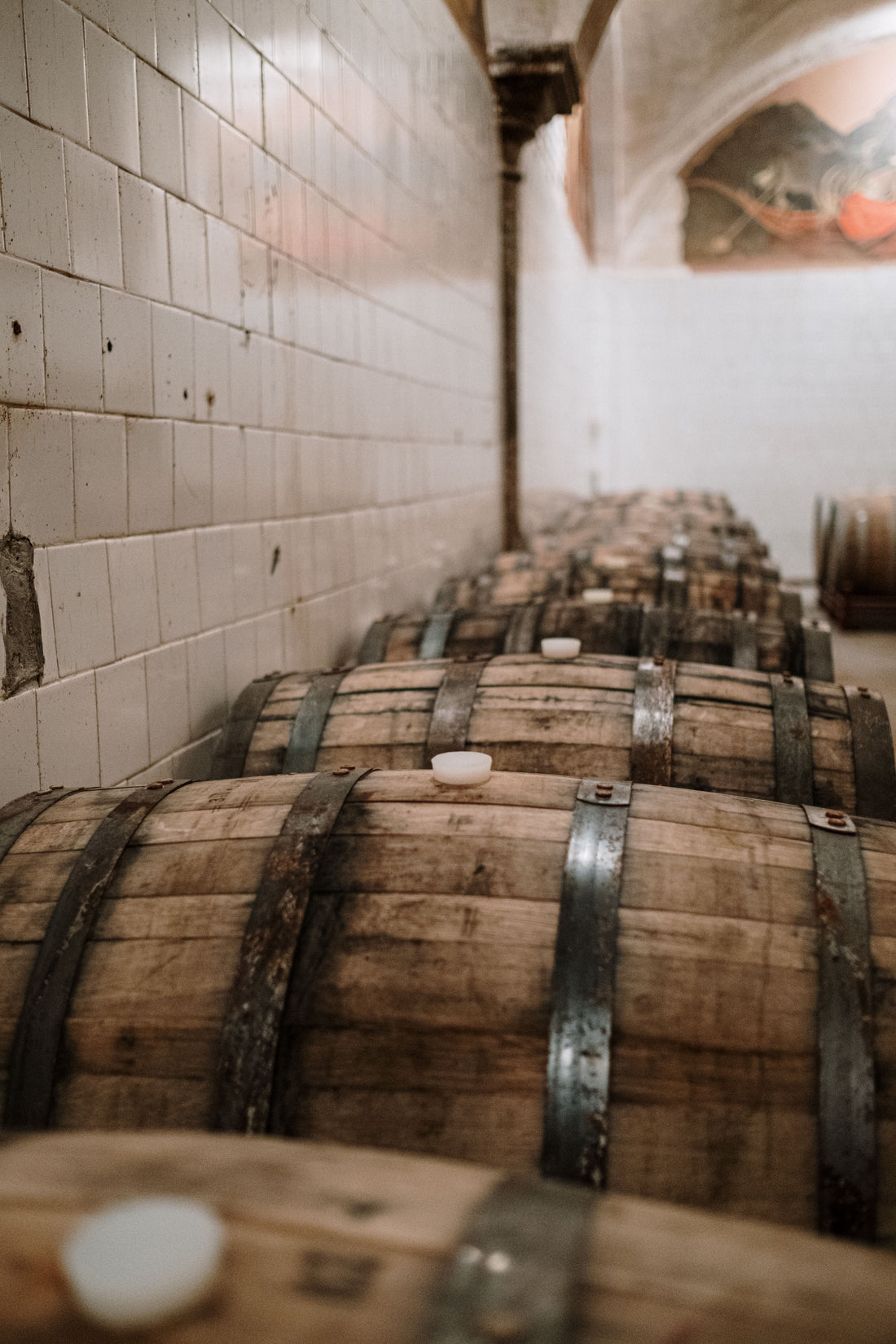 Rows of used wooden barrels in a dimly lit cellar