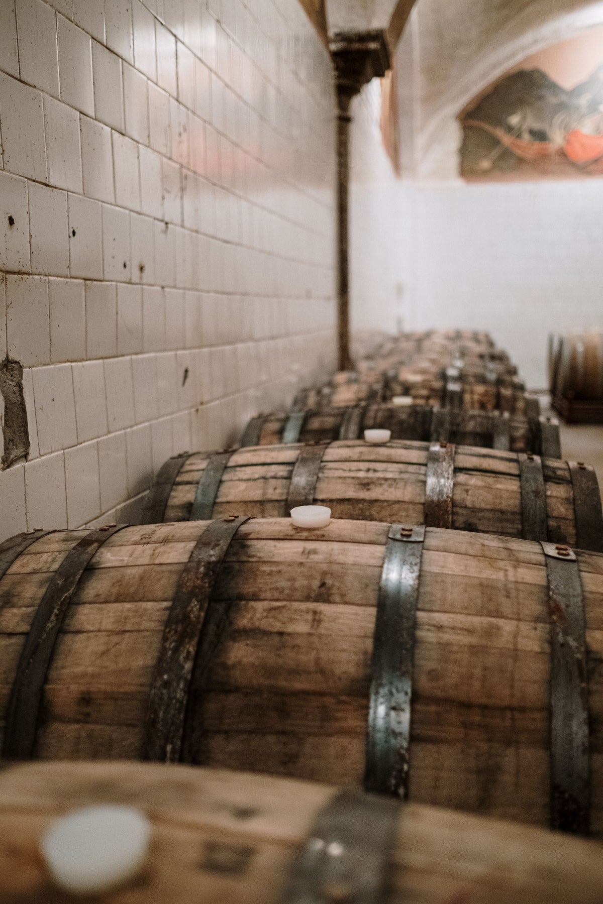 Rows of used wooden barrels in a dimly lit cellar