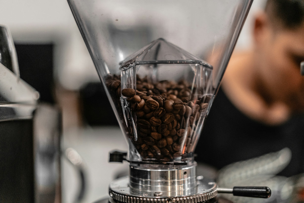 Roasted coffee beans in the hopper of a working coffee grinder