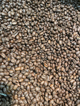 Load image into Gallery viewer, Dominican Republic Peaberry Organic Coffee - Medium Roast
