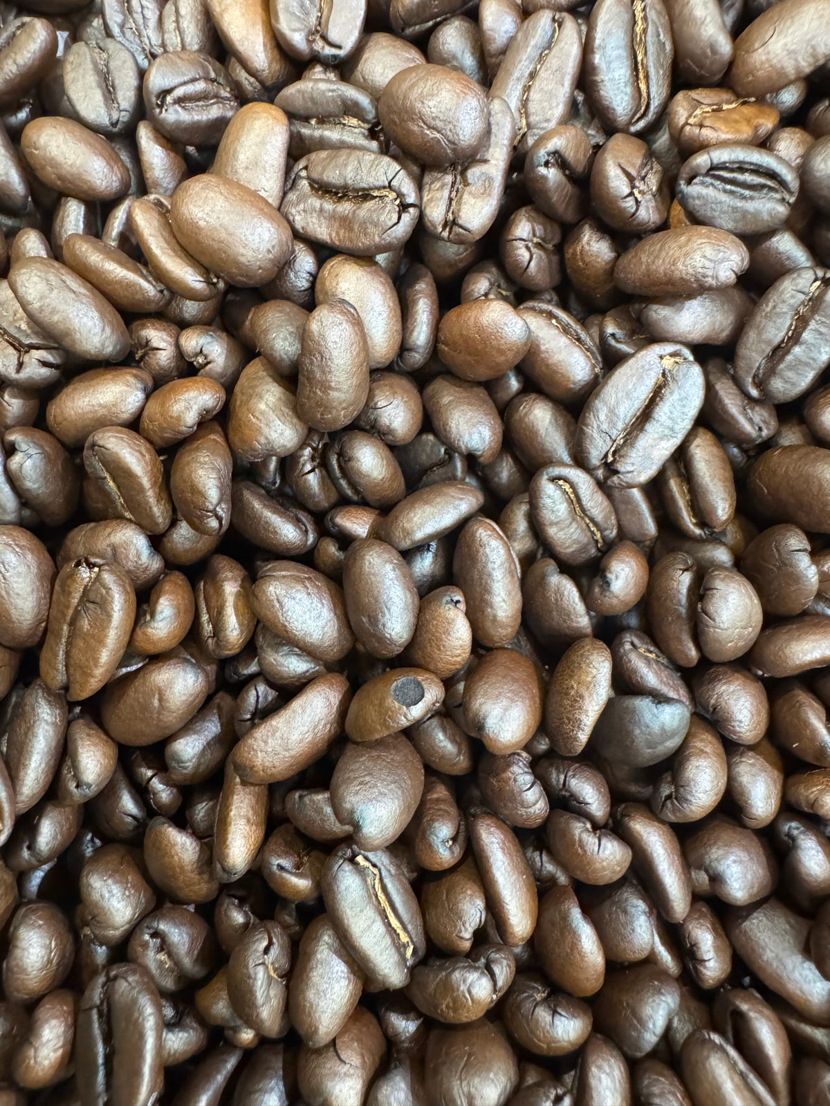 5# Bulk Organic Papua New Guinea - Dark Roast